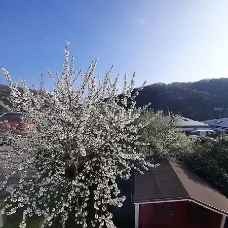 Prázdninový dům Ferienhaus *